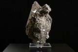 Spectacular Selenite Crystal Cluster - Naica Mine, Mexico #325048-2